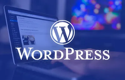 Minh họa cho WordPress (Nguồn: wecan-group.com)